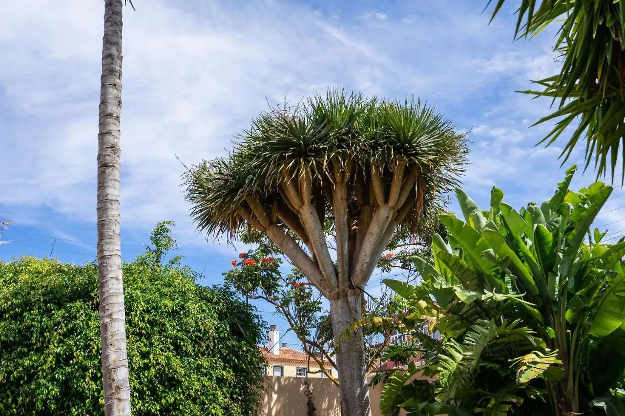 Espectacular Casa Con Jardin 